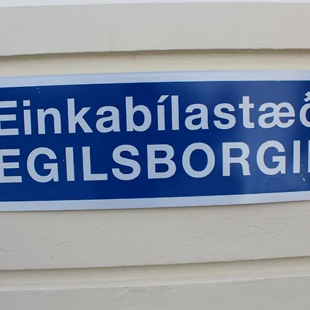 Vikingur 2*
